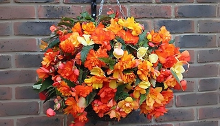 Pre-Planted Apricot Begonia Rattan Hanging Basket - 1 or 2 Baskets!