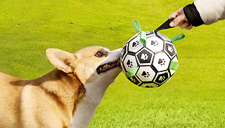 Interactive Dog Training Football with Grab Tabs