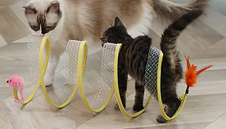 S-Shaped Foldable Cat Tunnel with Bait Toy 