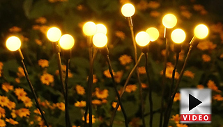 1 or 2 Floating Firefly Solar LED Garden Lights