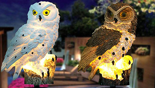 LED Owl Solar-Powered Garden Lawn Light - 2 Colours