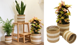 3-Pack of Seagrass Planter Baskets - 5 Colours