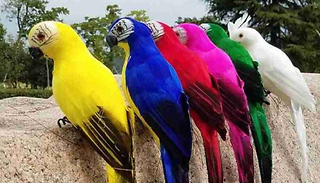 1 or 6 Parrot Figurines - 2 Sizes & 6 Colours