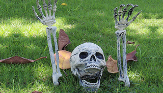 Halloween Skull & Hand Bones Lawn Decoration