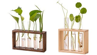 3 or 5 Plant Propagation Test Tube Pots with Wooden Holder - 2 Colours