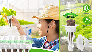 30 Piece Hydroponic Soilless Plant Growing Kit