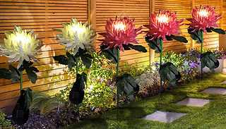 1 or 3 Solar Flower Stake Lights - 3 Colours