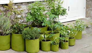 Vigoroot Pots and Planters - 4 Options