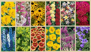 12-Piece Cottage Garden Collection