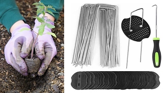50-200 Weed Control Membrane Holders & Pegs