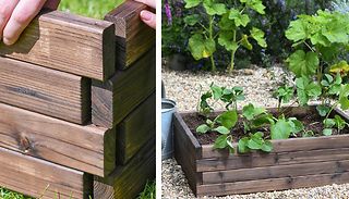 1 or 2-Pack Garden Life Raised Wooden Garden Bed - 3 Sizes