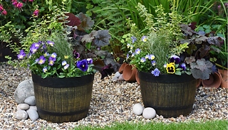 Whisky Barrel Planter - 1, 2 or 5 Pots