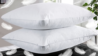 2 or 4-Pack of Goose Feather & Down Pillows