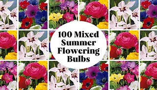 100 x Mixed Summer Flowering Bulbs