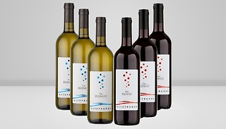 6 x Arione Piedmont Mixed Case - Merlot & Chardonnay