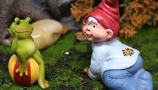 Miniature Frog & Baby Gnome Garden Statue Set