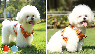 Pet Mesh Reflective Harness with Leash - 2 Colours & 3 Sizes
