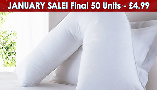 Giant V-Shaped Support Pillow With Optional Case - 6 Colours!