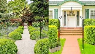 Garden Climbing Plant Decorative Archway