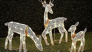 1 or 3 Christmas Light-Up Garden Reindeer Ornament - 3 Sizes