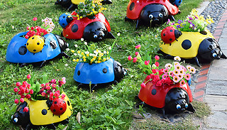 1 or 3 Mini Ladybug Metal Flower Pots - 3 Colours