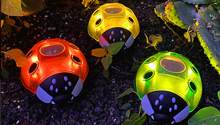 1 or 3 Solar Powered Ladybird Garden Lights - 3 Colours