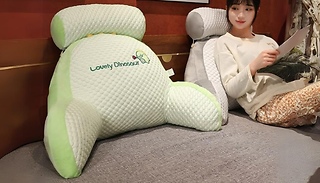 Lumbar Support Bed Pillow - 2 Sizes & 5 Designs