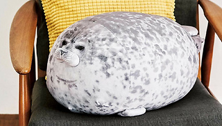 Chubby Seal Pillow Plush - 4 Sizes