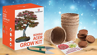 Bonsai Acer Tree Growing Kit or Stunning Succulents Growing Kit