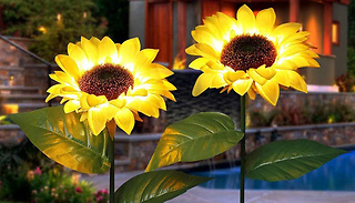 Pair of Sunflower Solar Garden Lights