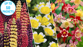Nurserymans Choice Flower Seeds - 10, 25 or 50 Packets