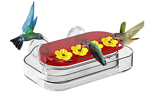 Window Suction Cup Bird Feeder Tray Bath