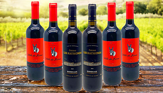 Luxury French Wine Vin De Bordeaux Gift Bundle