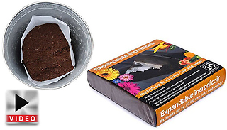 10L Incredicoir Peat-Free Expanding Compost  up to 12 packs