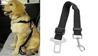 Dog Seatbelt - 1 or 2-Pack