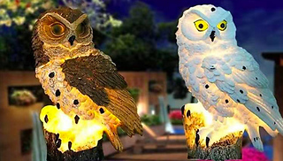 1 or 2 Solar-Powered Owl Garden Lights - 2 Colours