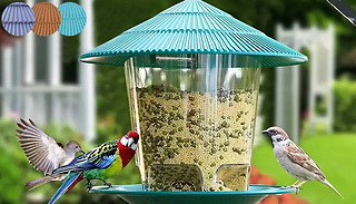 Bird Feeder with Canopy - 3 Colours