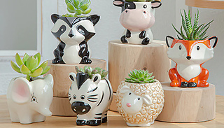 Mini Animal-Shaped Succulent Plant Pot - 6 Designs