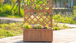 Wooden Standing Garden Planter with Trellis