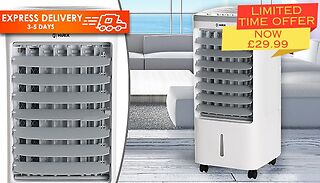 60W Arctic Power 4L Oscillating Air Cooler