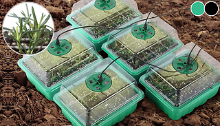 5-Pack of LED Light Seed Starter Trays with Tools - 2 Colours