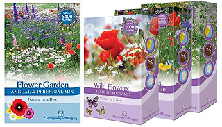 2 or 4-Pack of Scatter Seed Garden Collections - 3 Options