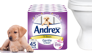45 Andrex Gentle Clean Toilet Rolls
