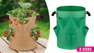 Strawberry Planting Grow Bag - 3 Colours & 3 Sizes