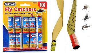10-Pack Sticky Flying Insect Catcher