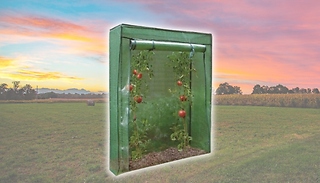 Tomato Greenhouse Garden Cover