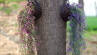 Artificial Hanging Plant Vines - 2 Colours