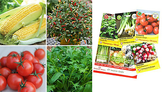 Easy-Grow Nurseryman's Choice Vegetable Seeds - 10, 25 or 50 Packets