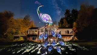 1 or 2-Pack Solar Metal Peacock Garden Decorative Light