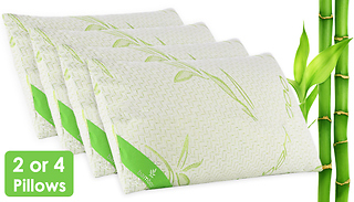 2 or 4 Bamboo Hollowfibre Ergonomic Pillows